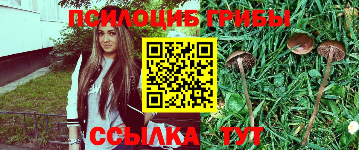 Псилоцибиновые грибы Magic Shrooms  Псилоцибиновые грибы Psilocybe  Вход с VPN  Светлоград 