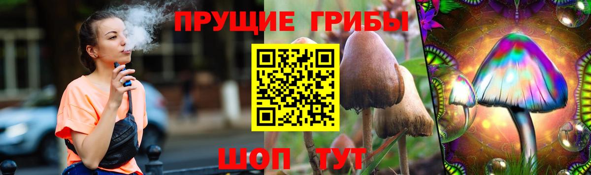 Псилоцибиновые грибы ЛСД Светлоград